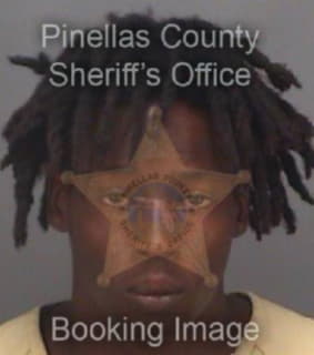 Bingham Tyree - Pinellas County, Florida 