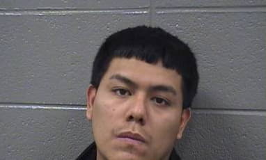 Diaz Andres - Cook County, Illinois 