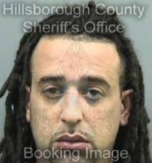 Robinson Dennis - Hillsborough County, Florida 