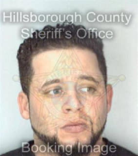 Rodriguez Luis - Hillsborough County, Florida 