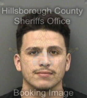 Aranda Roger - Hillsborough County, Florida 