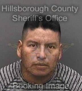 Mendezruiz Domingo - Hillsborough County, Florida 