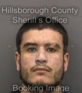 Rivera Mark - Hillsborough County, Florida 