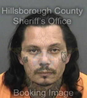 Perez Rogelio - Hillsborough County, Florida 