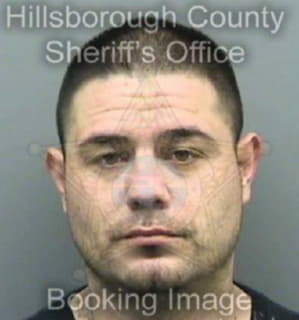 Weimer Anthony - Hillsborough County, Florida 