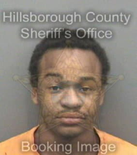 Arnold Jeffrey - Hillsborough County, Florida 