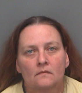 Mccormick Laurie - Pinellas County, Florida 