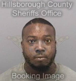 Watkins Michael - Hillsborough County, Florida 