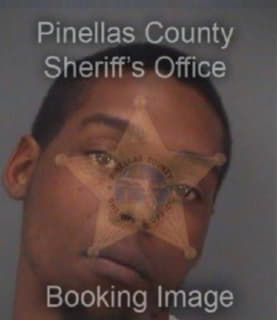 Hayes Austin - Pinellas County, Florida 