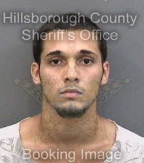 Oyangurenrosado Carlos - Hillsborough County, Florida 