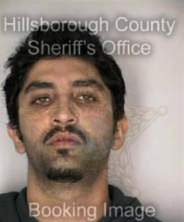 Ahmad Ijaz - Hillsborough County, Florida 