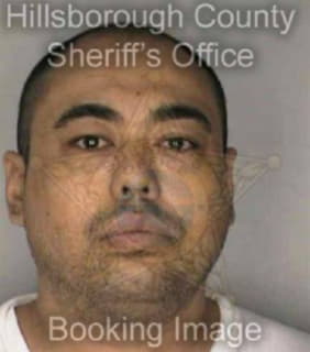 Martinez Jason - Hillsborough County, Florida 