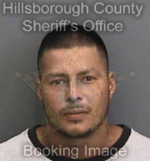 Martinez Roberto - Hillsborough County, Florida 