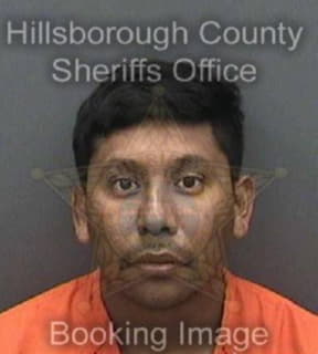 Cruz Luis - Hillsborough County, Florida 