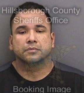 Orta Ross - Hillsborough County, Florida 