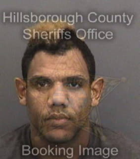 Martinez-Jorrin Santiago - Hillsborough County, Florida 