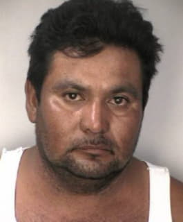 Rosales Adolfo - Hillsborough County, Florida 