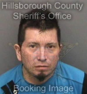 Perez Manuel - Hillsborough County, Florida 