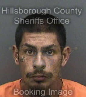 Nieves Anthony - Hillsborough County, Florida 