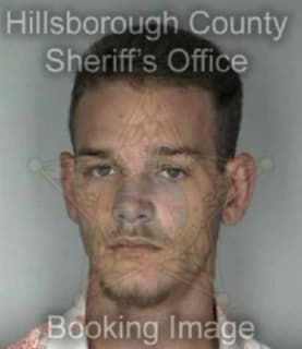 Wilkin James - Hillsborough County, Florida 