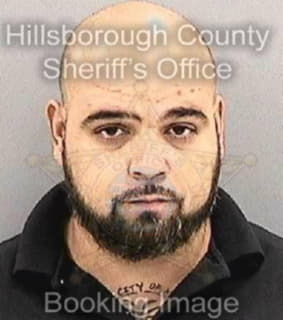 Pena Jorge - Hillsborough County, Florida 