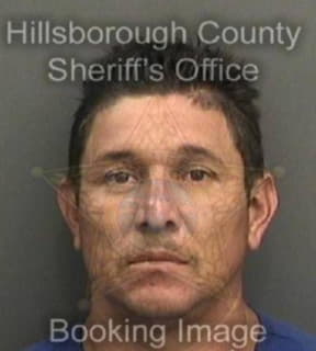 Vasquezmoreno Julian - Hillsborough County, Florida 