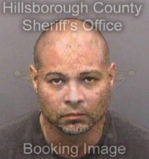 Martinezgonzalez Rafael - Hillsborough County, Florida 