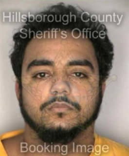 Batista Ramon - Hillsborough County, Florida 