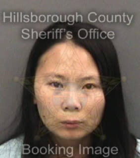 Michel Tranh - Hillsborough County, Florida 