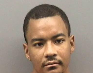 Melton Andre - Hillsborough County, Florida 