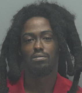 Stewart Dejerion - Lee County, Florida 