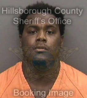 Robinson Eric - Hillsborough County, Florida 