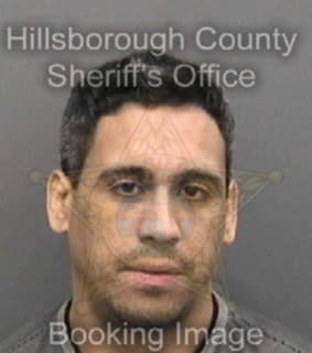 Vargas Josue - Hillsborough County, Florida 