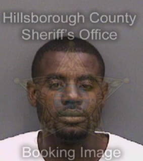 Reed Lewis - Hillsborough County, Florida 