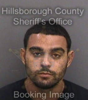 Richardson Radford - Hillsborough County, Florida 