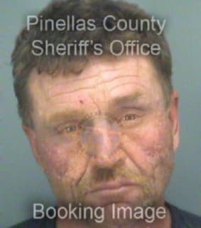 Harmon Shane - Pinellas County, Florida 