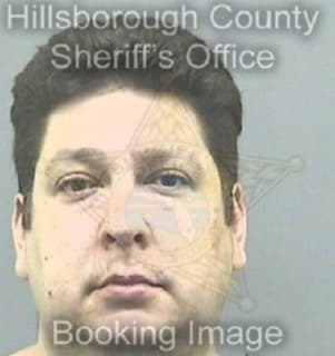 Klimenko Andrei - Hillsborough County, Florida 