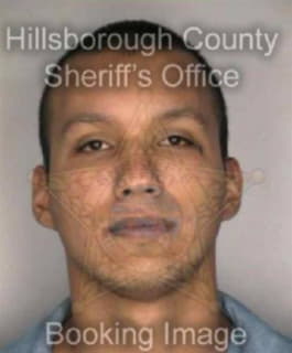 Ramos David - Hillsborough County, Florida 