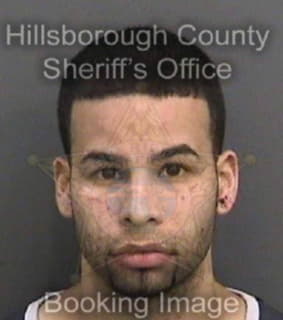 Rivera Elias - Hillsborough County, Florida 