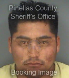 Pintosalinas Leonel - Pinellas County, Florida 