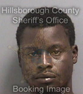 Delaughter Robert - Hillsborough County, Florida 