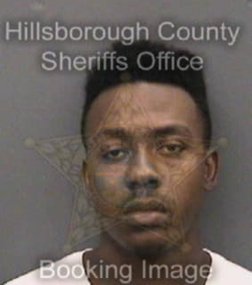 Rosson Ronald - Hillsborough County, Florida 