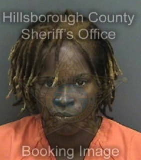 Brady Alisha - Hillsborough County, Florida 