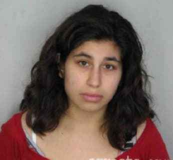 Davila Stephanie - Hillsborough County, Florida 