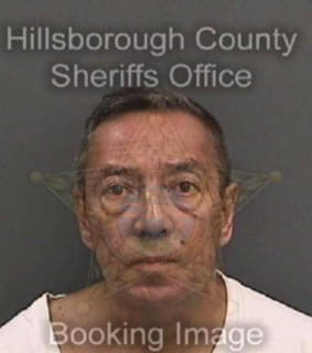 Castro Daniel - Hillsborough County, Florida 