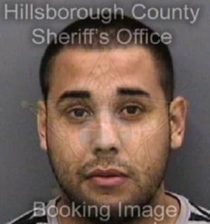 Delgado Ismaaeel - Hillsborough County, Florida 