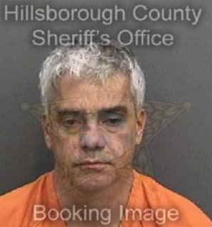 Londono Luis - Hillsborough County, Florida 