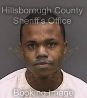 Mitchell Terrel - Hillsborough County, Florida 