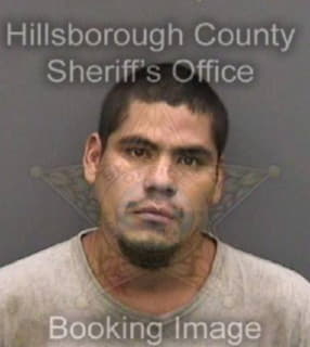 Minjares David - Hillsborough County, Florida 