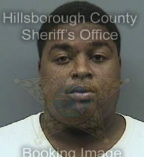 Vinson George - Hillsborough County, Florida 